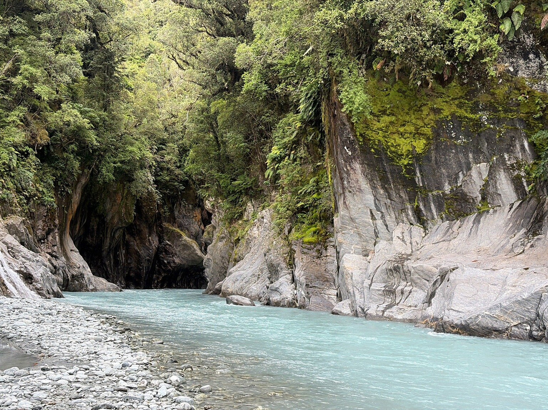 Callery Gorge Walk-弗朗茨约瑟夫（冰川）必去景点