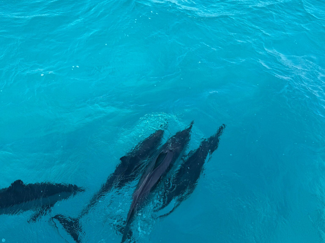 Wadi El Gemal National Park-马萨阿拉姆必去景点