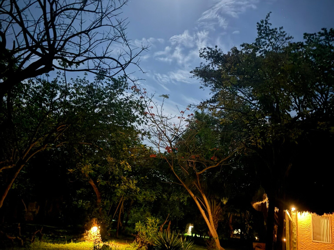 Eco Shamba Kilole Lodge主图