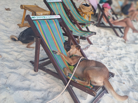 绿色海滩度假村主图