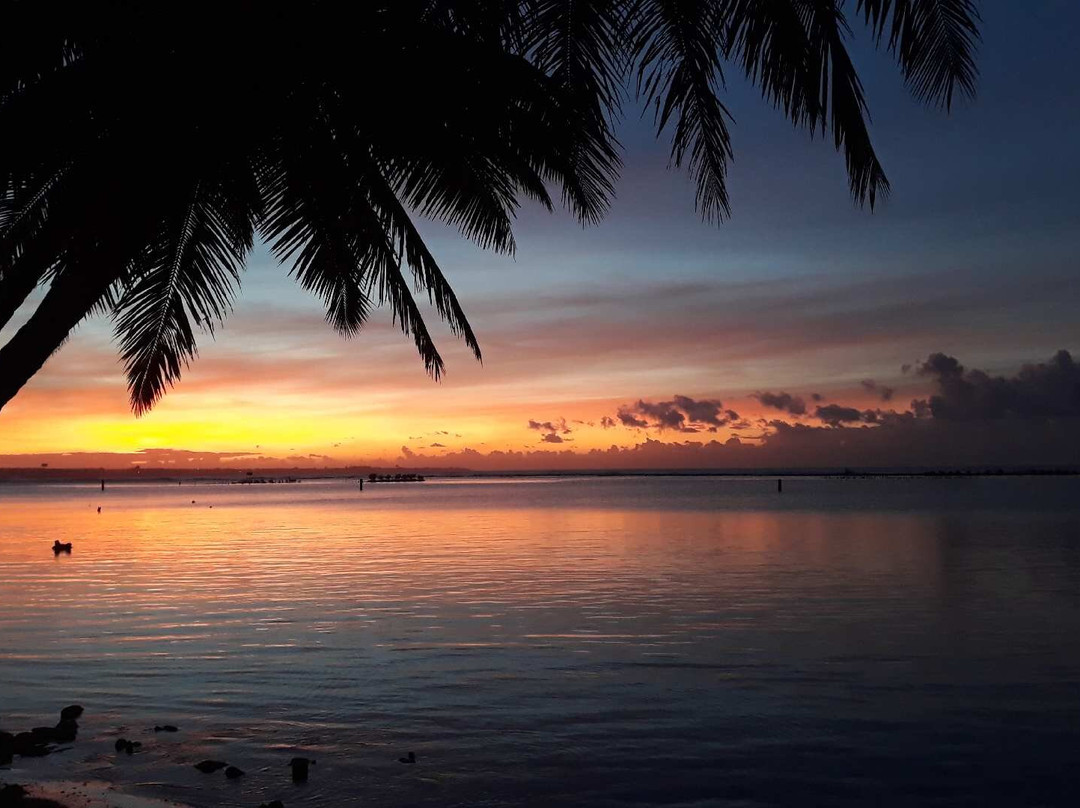 Hotel Don Michele主图