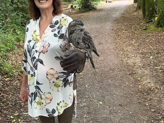The British Bird of Prey Centre-喀麦登必去景点
