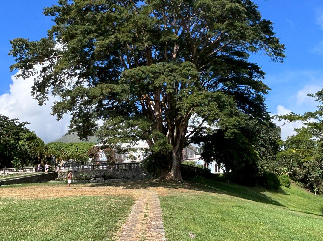 Distillerie Depaz-Saint-Pierre必去景点