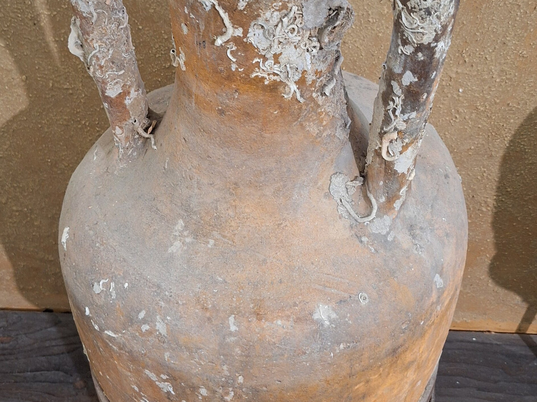 Museo Archeologico Provinciale Francesco Ribezzo-布林迪西必去景点