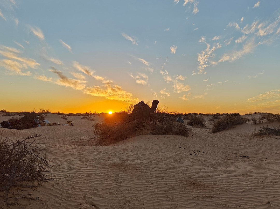 Sahha Sahara-杜兹必去景点