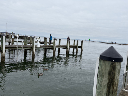 Annapolis Maritime Museum & Park-安纳波利斯必去景点