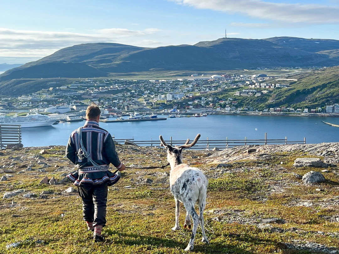 Reindeer Island Hammerfest