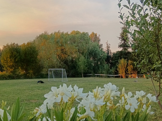 Granja Museo Dona Rita-奇廉必去景点
