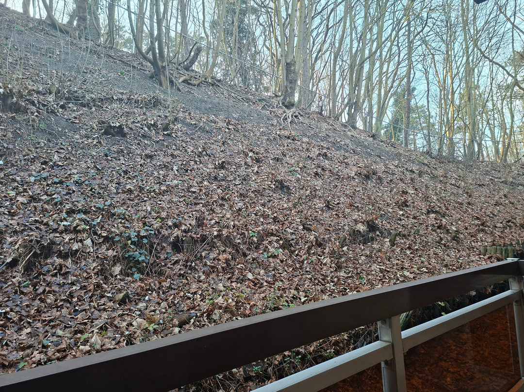 弗莱彻酒店主图