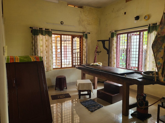 Ayurbhadra Ayurveda-阿拉普扎必去景点