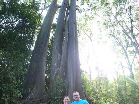 Holo Holo Maui Tours-卡胡卢伊必去景点