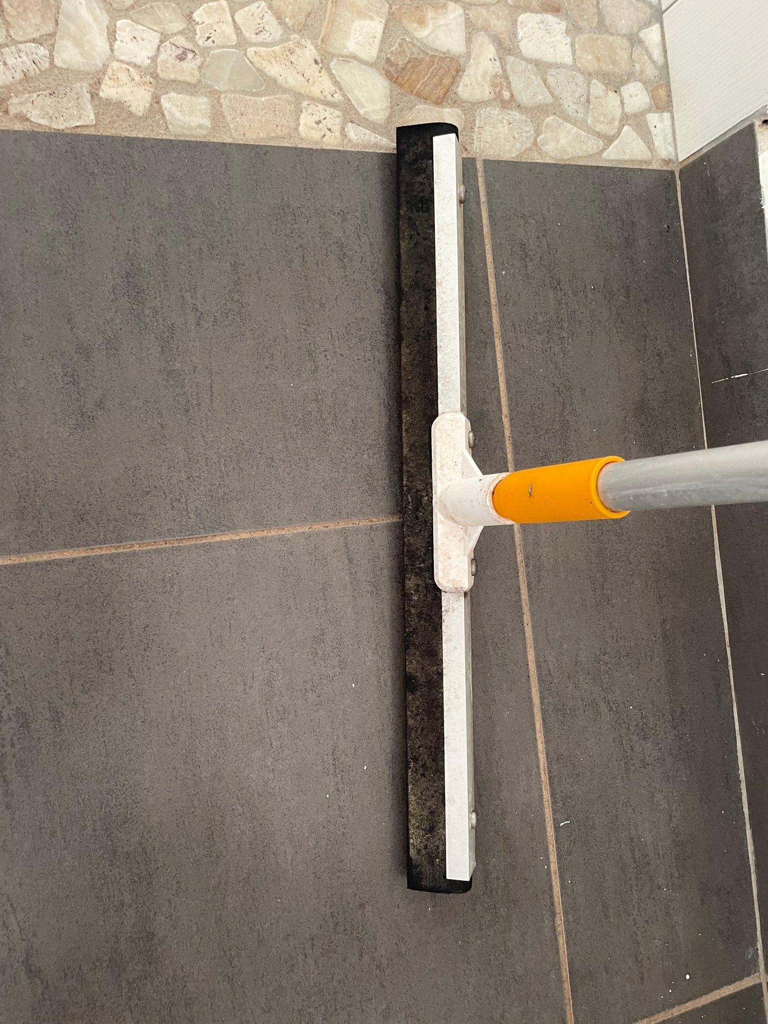 L'oiseau de Paradis-官方