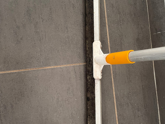 L'oiseau de Paradis主图