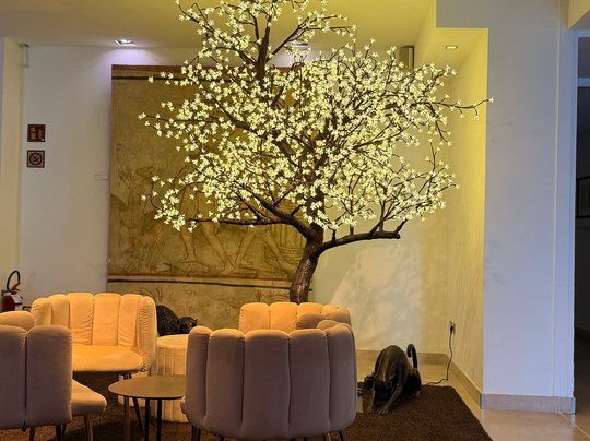 阿卡维瓦戴加尔达酒店主图