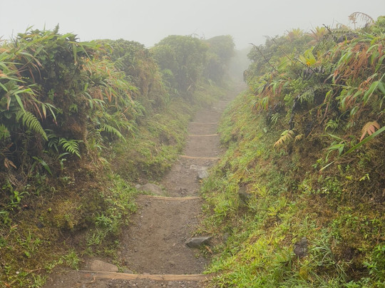 Montagne Pelée-Arrondissement of Saint-Pierre必去景点