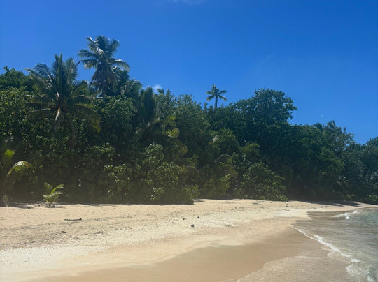 Bishops Cruises-艾图塔基必去景点