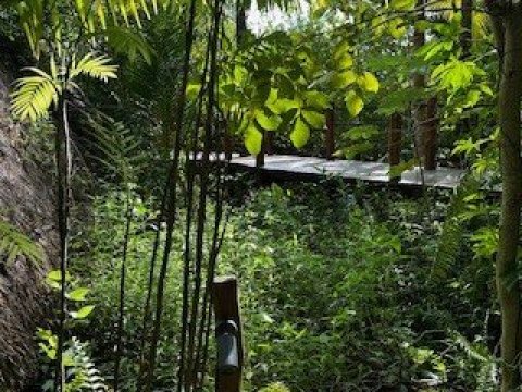 Our Habitas Bacalar-官方