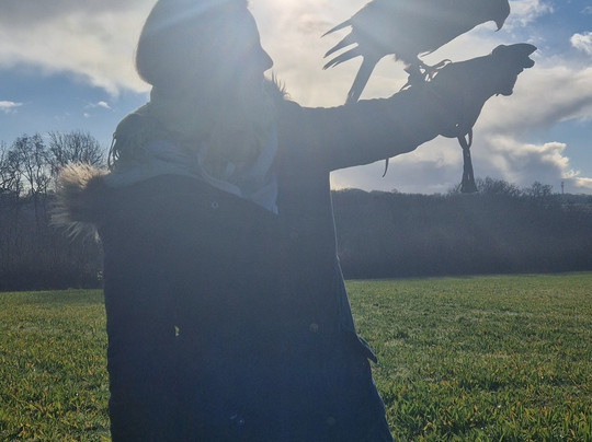 North Devon Hawk Walks-South Molton必去景点