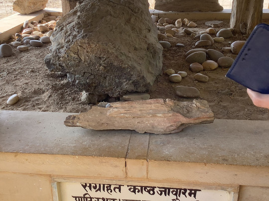 Akal Wood Fossil Park-杰伊瑟尔梅尔必去景点