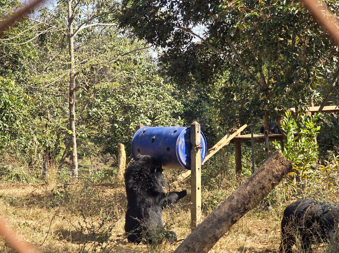 Luang Prabang Wildlife Sanctuary-琅勃拉邦必去景点