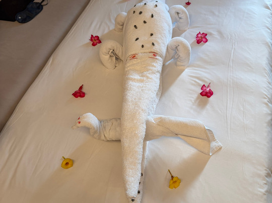 泰姬陵伊奥提查本托特酒店主图