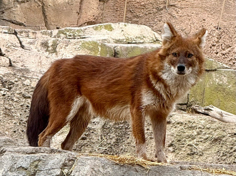 Terra Natura Benidorm-贝尼多姆必去景点