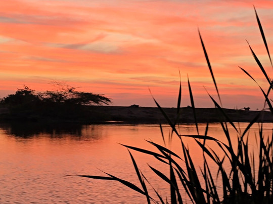 Wildlife Wonders Sri Lanka-唐卡拉必去景点