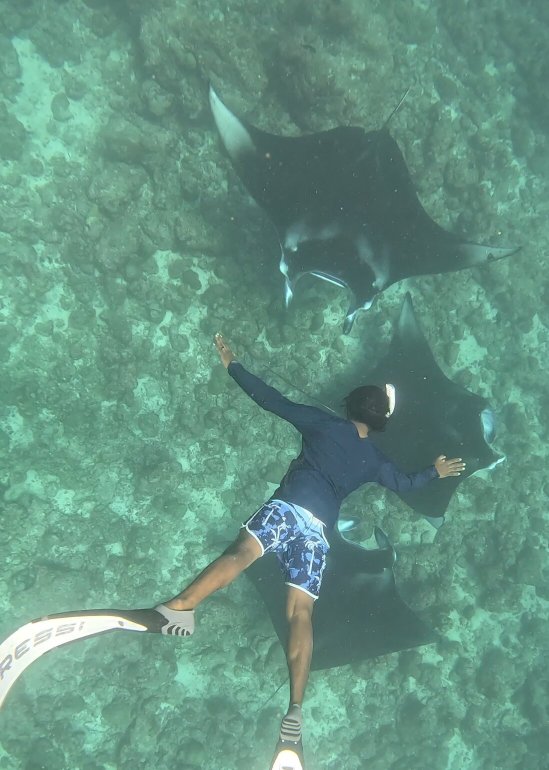 马尔代夫自由旅馆-官方