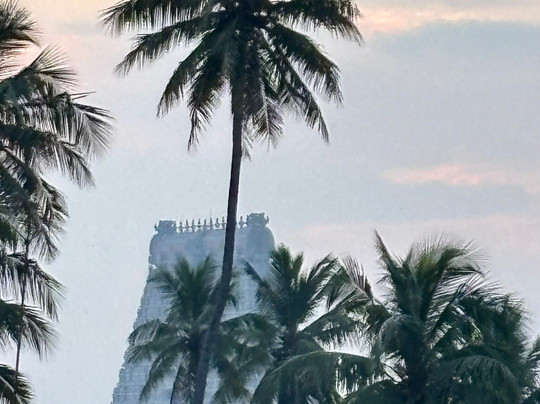 Indian Residency主图