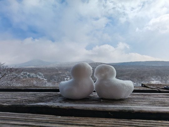Jeju 1100 Altitude Wetland-西归浦市必去景点
