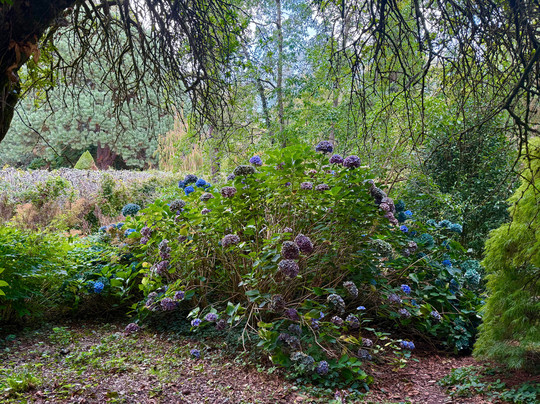 Mount Usher Gardens-Ashford必去景点