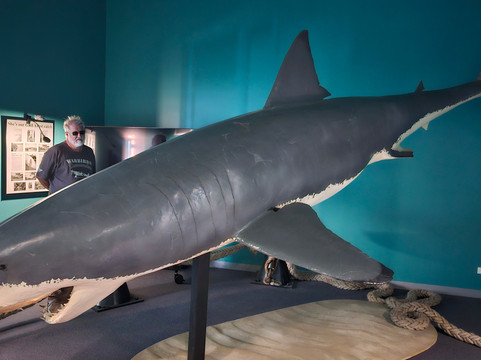 Port Pirie Regional Tourism & Arts Centre-Port Pirie必去景点