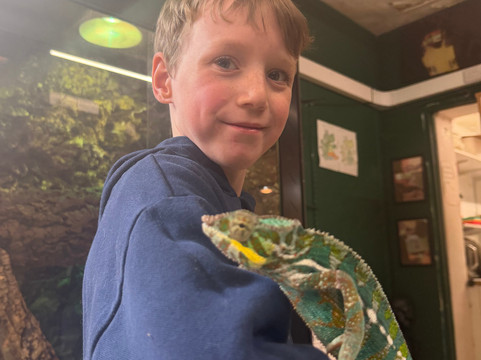 Crocs R Us-Filton必去景点