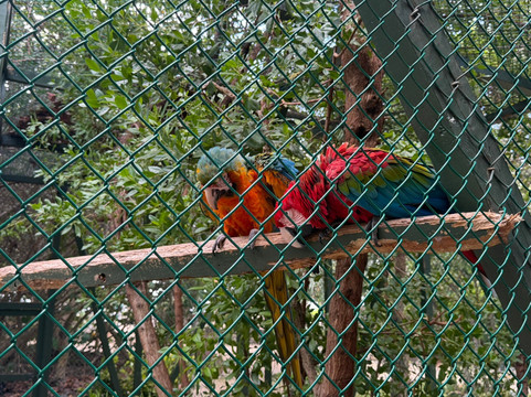 Island Vibe Destinations-Spanish Town必去景点