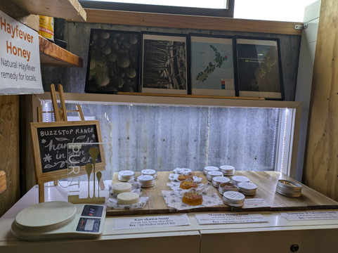 Buzzstop-皇后镇必去景点