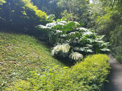 Bosque Alemão-库里提巴必去景点