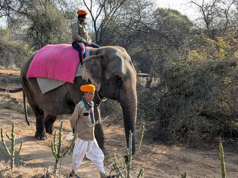 Dera Amer Wilderness Camp-Amer必去景点