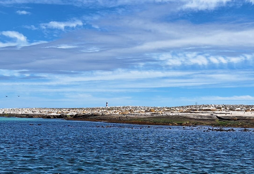 Cape Coast Expeditions-Yzerfontein必去景点