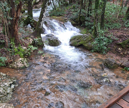 Les Sources de l'Huveaune-Nans-les-Pins必去景点