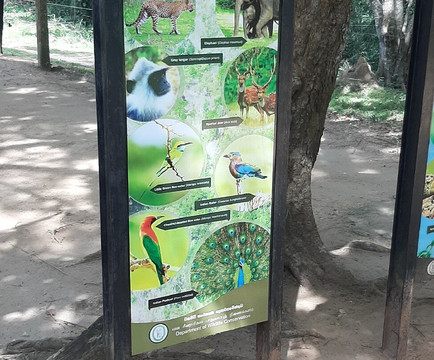 Tuktukdude Leisure-马塔拉必去景点