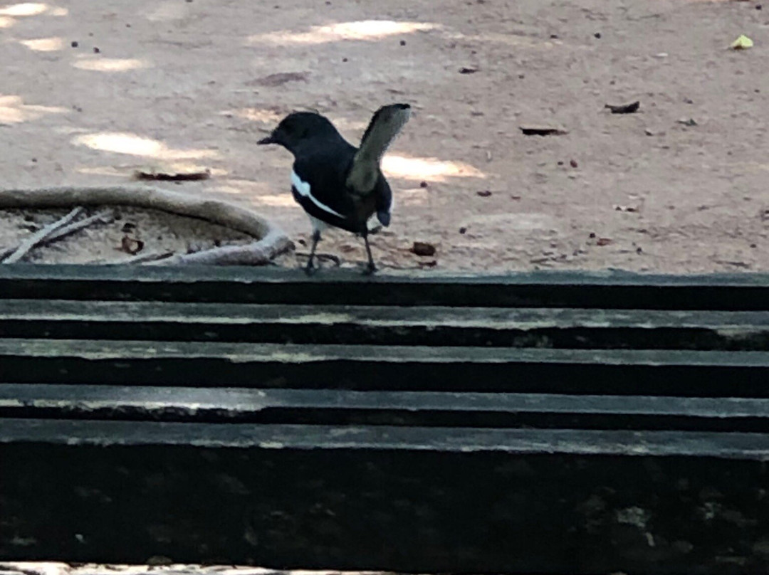 Beddegana Wetland Park-斯里贾亚瓦德纳普拉必去景点