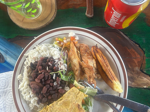 Palo Verde Boat Tours-Ortega必去景点