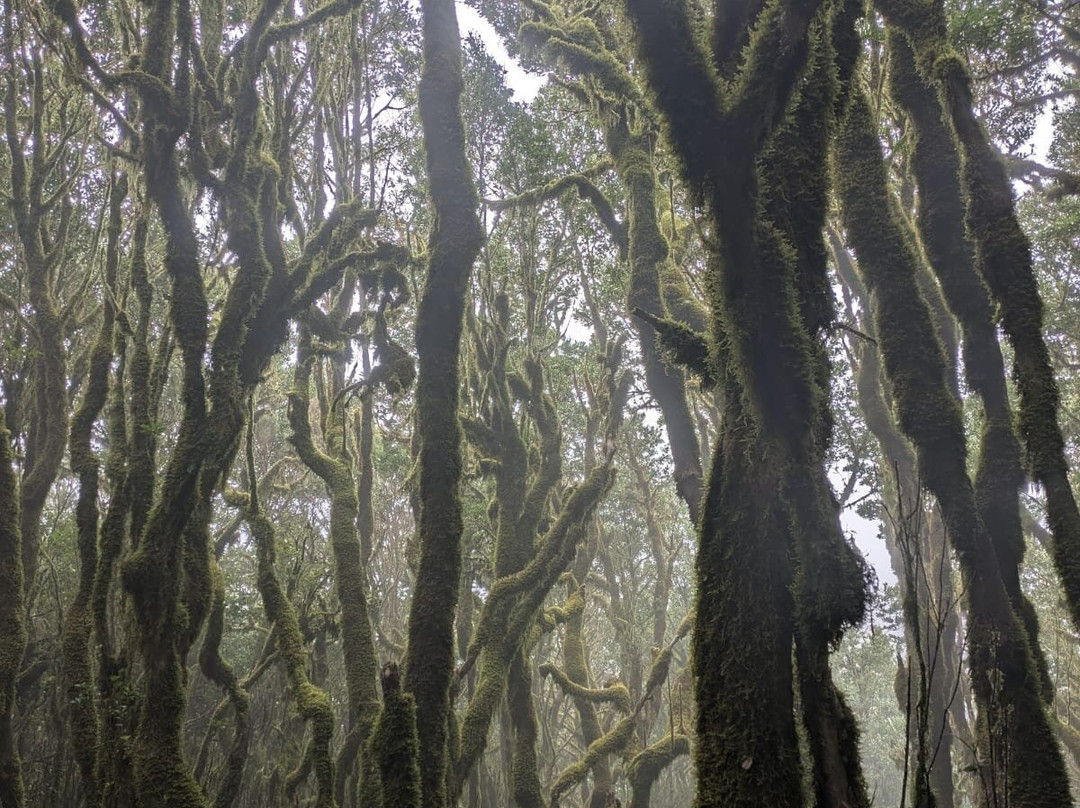 Timah-La Puntilla必去景点