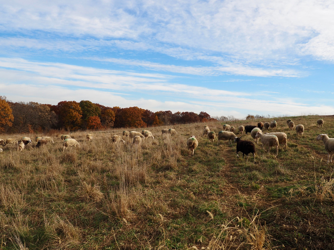 Green Dirt Farm-Weston必去景点