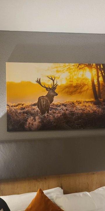 拉美尔贝尔酒店-官方