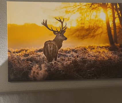 拉美尔贝尔酒店主图