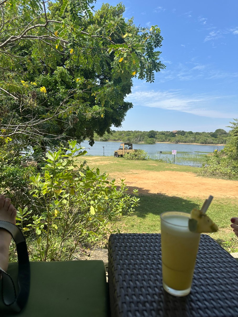 辛纳蒙亚拉野生动物酒店-泳池