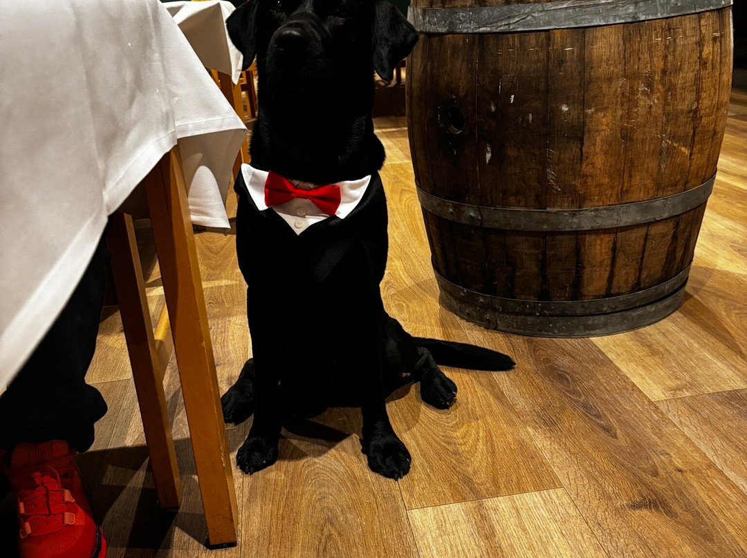 吉士威酒店及会议中心主图