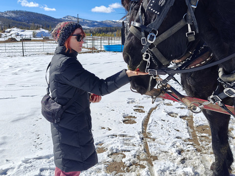 Rocky Mountain Stables-格兰比必去景点