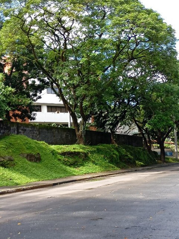 University Of The Philippines - Diliman-奎松市必去景点